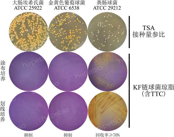 KF链球菌琼脂（含TTC）的微生物九鼎彩票平台结果