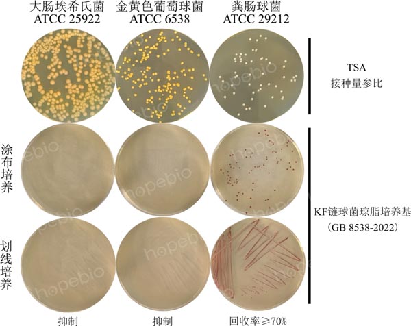 图1 KF链球菌琼脂培养基（GB 8538-2022）的微生物九鼎彩票平台结果