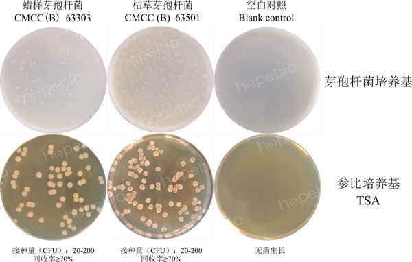图1 芽孢杆菌培养基的微生物九鼎彩票平台结果