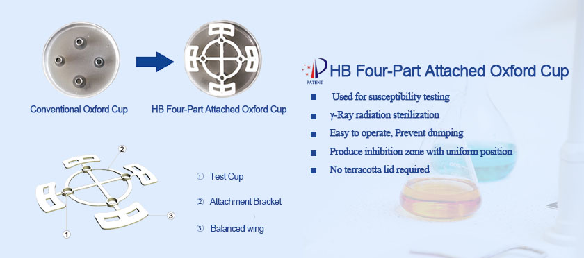 HB Four-Part Attached Oxford Cup