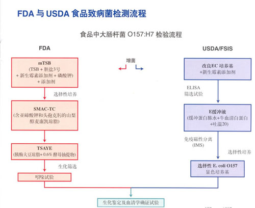 FDA与USDA食品致病菌检测流程中食品中大肠杆菌的检测流程.jpg