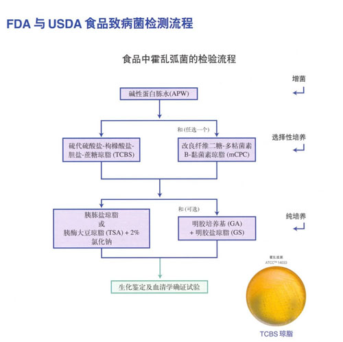 FDA与USDA食品致病菌检测流程中食品中霍乱弧菌的检测流程/