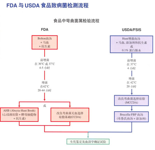 FDA与USDA食品致病菌检测流程中食品中弯曲菌属检测流程/