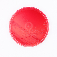 鼠伤寒沙门氏菌-品红亚硫酸钠琼脂