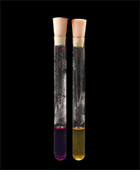 溴甲酚紫蛋白胨培养液
